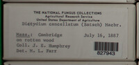 Image Associated With the Occurence